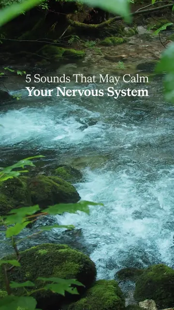 Calm video cover: a mountain stream with the title 5 sounds that may calm your nervous system, the post with the most saves per view